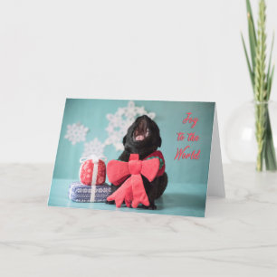 Joy to the world Christmas puppy card