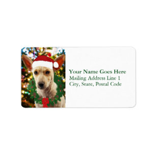 Joy to thee Puppy Label