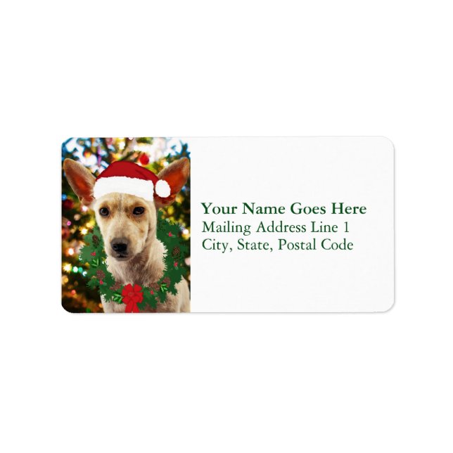 Joy to thee Puppy Label (Front)
