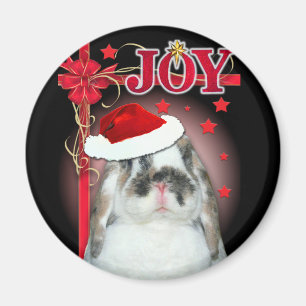 Joy Xmas Magnet