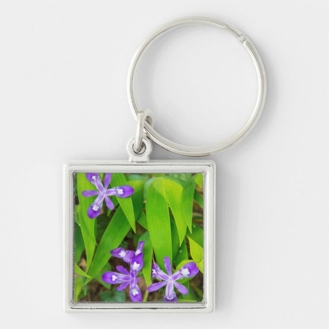 Joyce Kilmer-Slickrock Wilderness 2 Key Ring (Front)