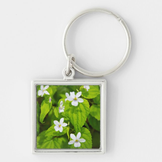 Joyce Kilmer-Slickrock Wilderness Key Ring (Front)