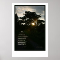 Joyce Kilmer Trees 24x36