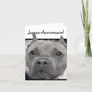 Joyeux Anniversaire Pitbull Dog Greeting card