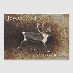 Joyeux Noёl - Bull Caribou (Reindeer)