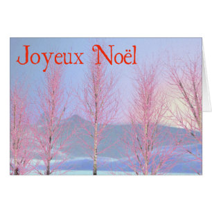 Joyeux Noёl - Raspberry Creme Birch