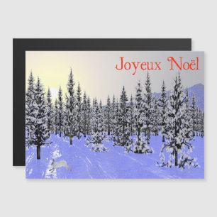 Joyeux Noёl - Winter Solstice
