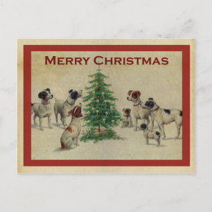 Joyeux Noël chiens Postcard