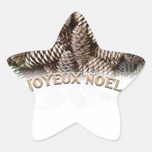 Joyeux Noel Christmas Holiday Pine Cone Star Sticker