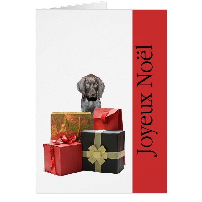 Joyeux Noël  german shorthaired pointer puppy (Front)
