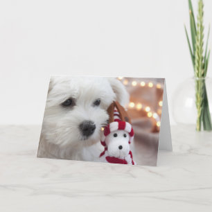 Joyeux Noël ! Holiday Card