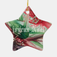 joyeux Noel/Merry Christmas in French