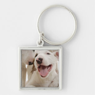 Joyful Bull terriers Key Ring