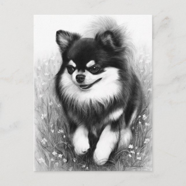Joyful Chihuahua in Bloom Hand Painted Postcard (Front)