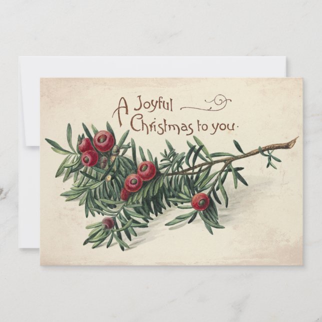 Joyful Christmas Vintage Evergreen Red Berries  Holiday Card (Front)