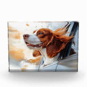Joyful Dog in the Wind Art Print Photo Block