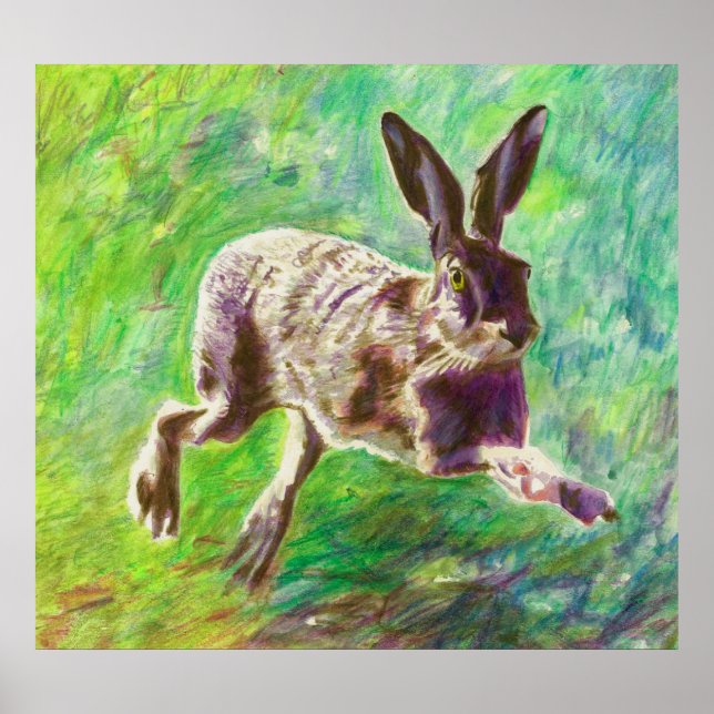 Joyful hare 2011 poster (Front)