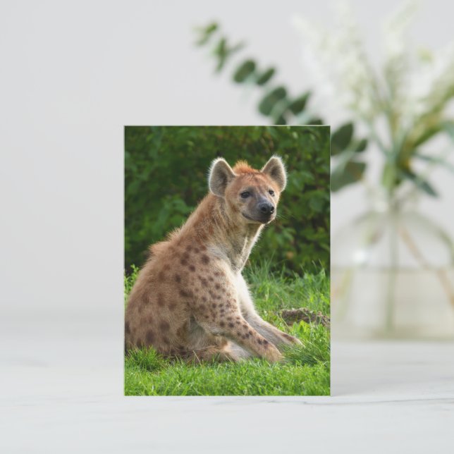  Joyful Hyena Amidst Greenery Postcard (Standing Front)