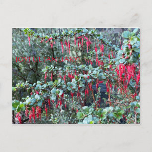 JOYFUL JANUARY! POSTCARD