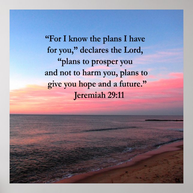 JOYFUL JEREMIAH 29:11 SUNRISE POSTER (Front)