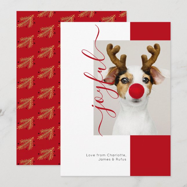 Joyful Modern Holiday Photo Card (Front/Back)