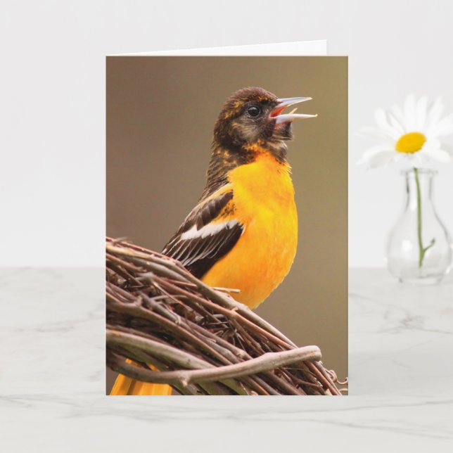 Joyful Oriole Birthday Card (Small Plant)