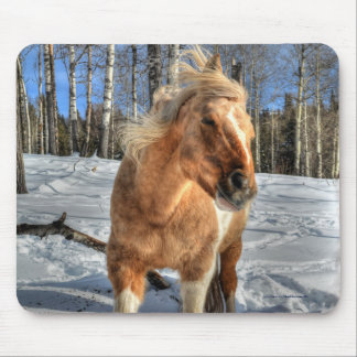 Joyful Palomino Pinto Horse and Snow Mouse Mat