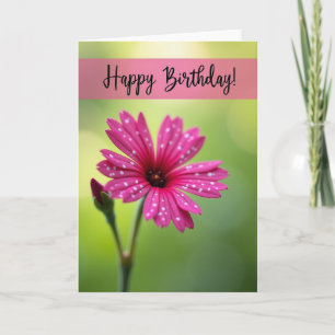 Joyful Polka Dot Bloom Card