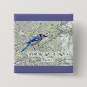 Joyous Easter Blue Jay Songbird 15 Cm Square Badge