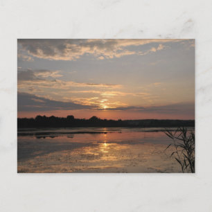 Joys of summer, sunset in somogy county, Hungary Postcard