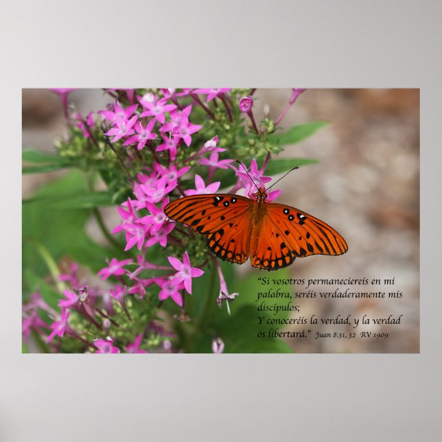Juan 8:31, 32 con Mariposa Gulf Fritillary Poster (Front)