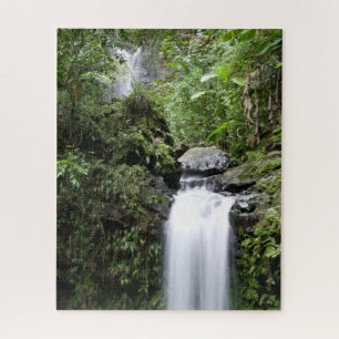 Juan Diego Falls Jigsaw Puzzle
