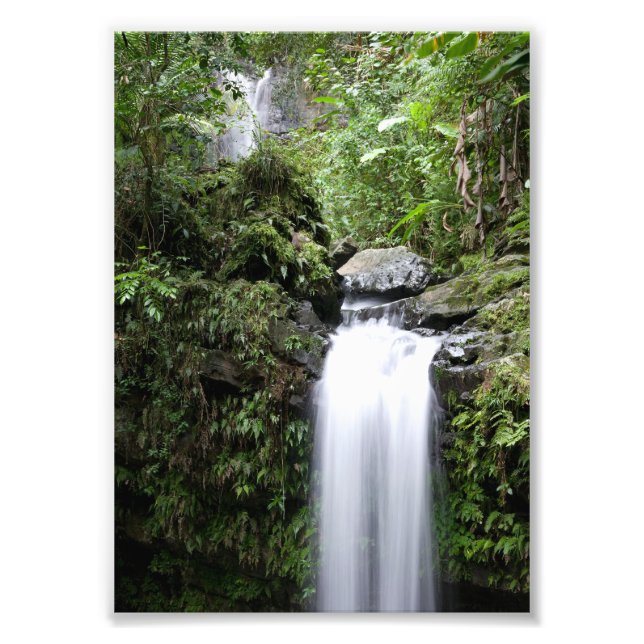 Juan Diego Falls Photo Print (Front)