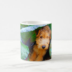 Jubal dog under cabbage leaf--dry brush coffee mug