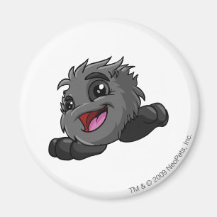 JubJub Shadow Magnet