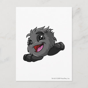 JubJub Shadow Postcard