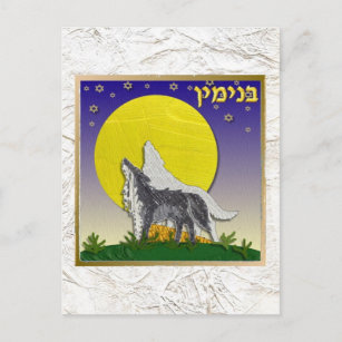 Judaica 12 Tribes Israel Benjamin Postcard