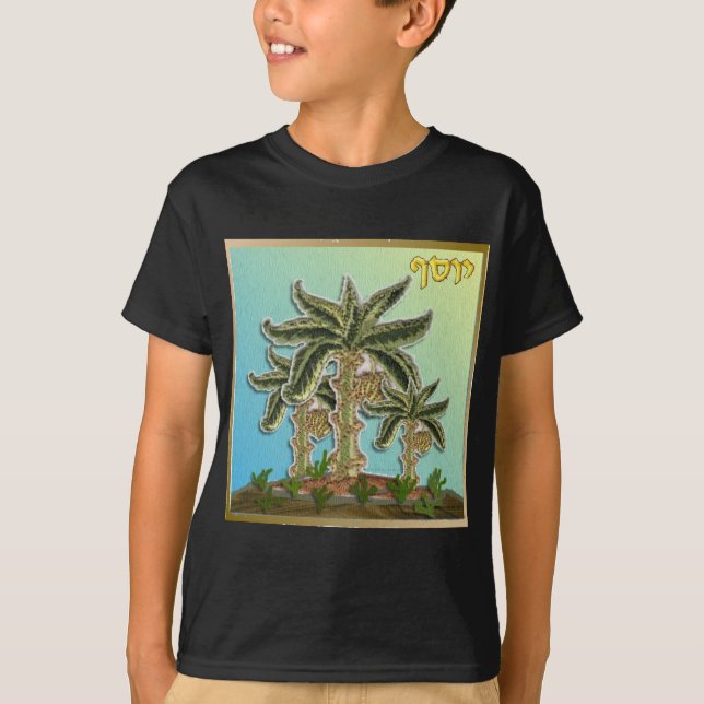 Judaica 12 Tribes Israel Joseph T-Shirt (Front)