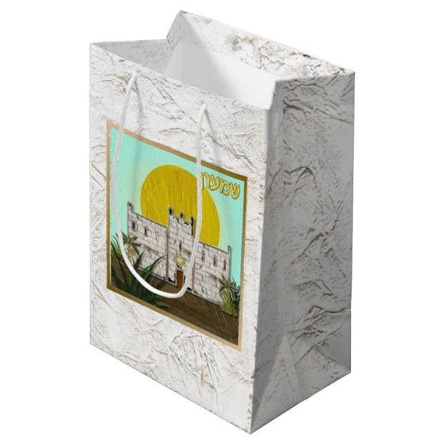 Judaica 12 Tribes Of Israel Art Simeon Gift Bag (Front Angled)