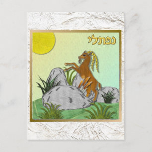 Judaica 12 Tribes Of Israel Naphtali Postcard