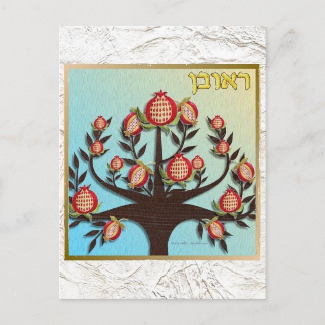 Judaica 12 Tribes Of Israel Reuben Postcard (Front)