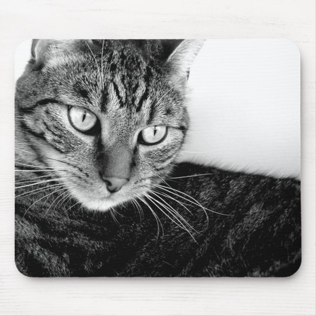 Jude Mouse Mat (Front)