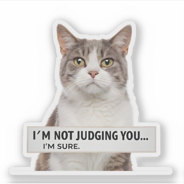 Judging Cat Sarcastic Quote Minimal Art (Front)