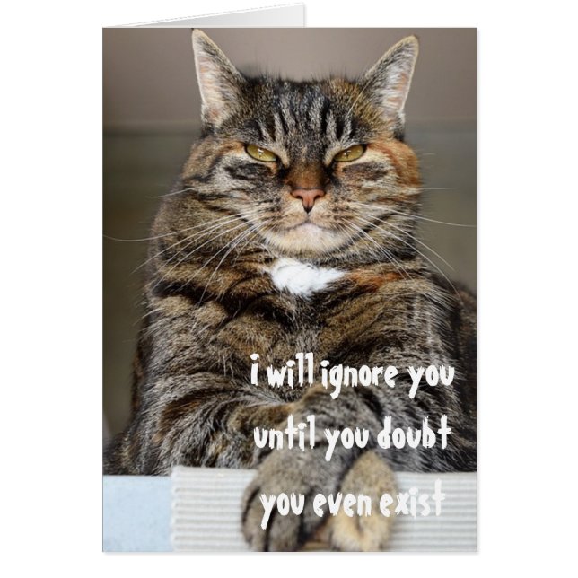 Judgmental Angry Cat Doubt You Exist Humour Funny (Front)