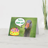 Judgmental Goose Funny Birthday