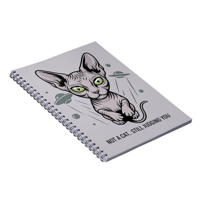 Judgmental Sphynx Cat in Space Art Notebook (Right Side)