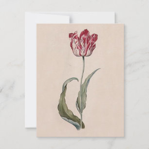 Judith Leyster Tulip Invitations