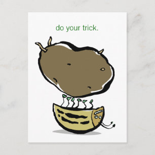 juggling colorado beetle postcard