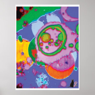 Juicey KC Image Poster
