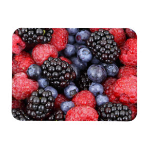 Juicy and Ripe Berry Fruit Medley Magnet